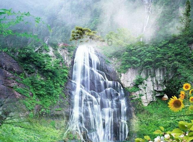 一顿浪漫晚餐